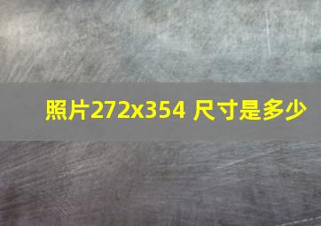 照片272x354 尺寸是多少